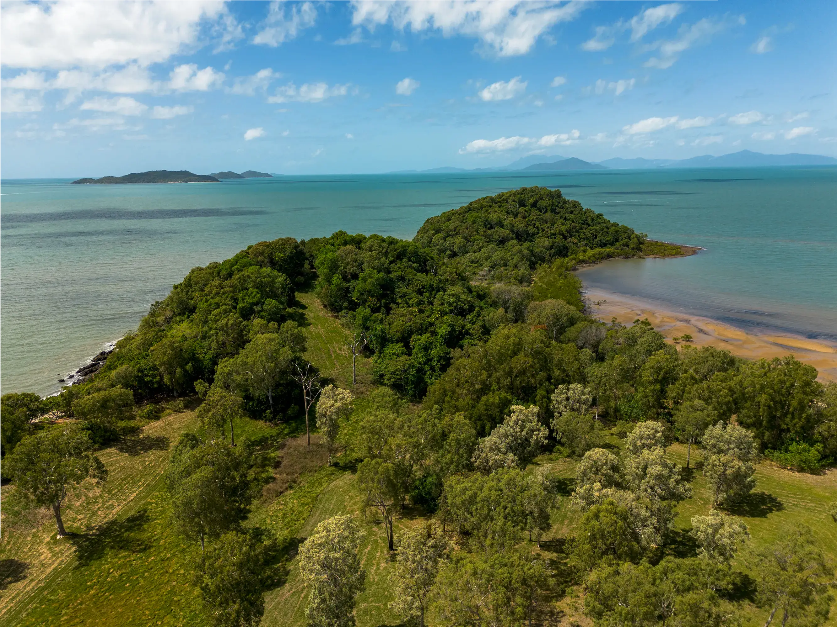 Along the forested ridge of the headland, the beach to the right