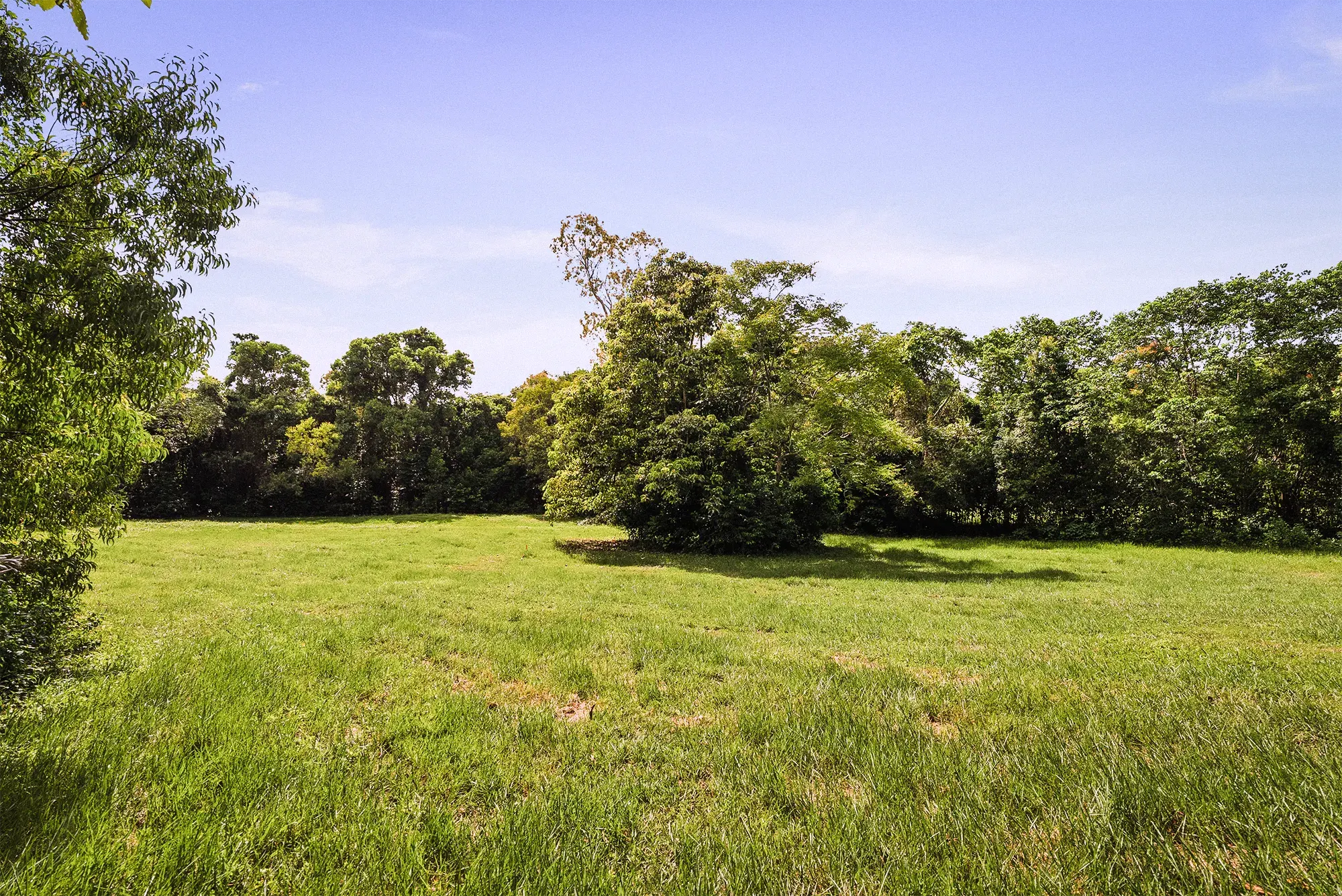 Lot 14 from the ground