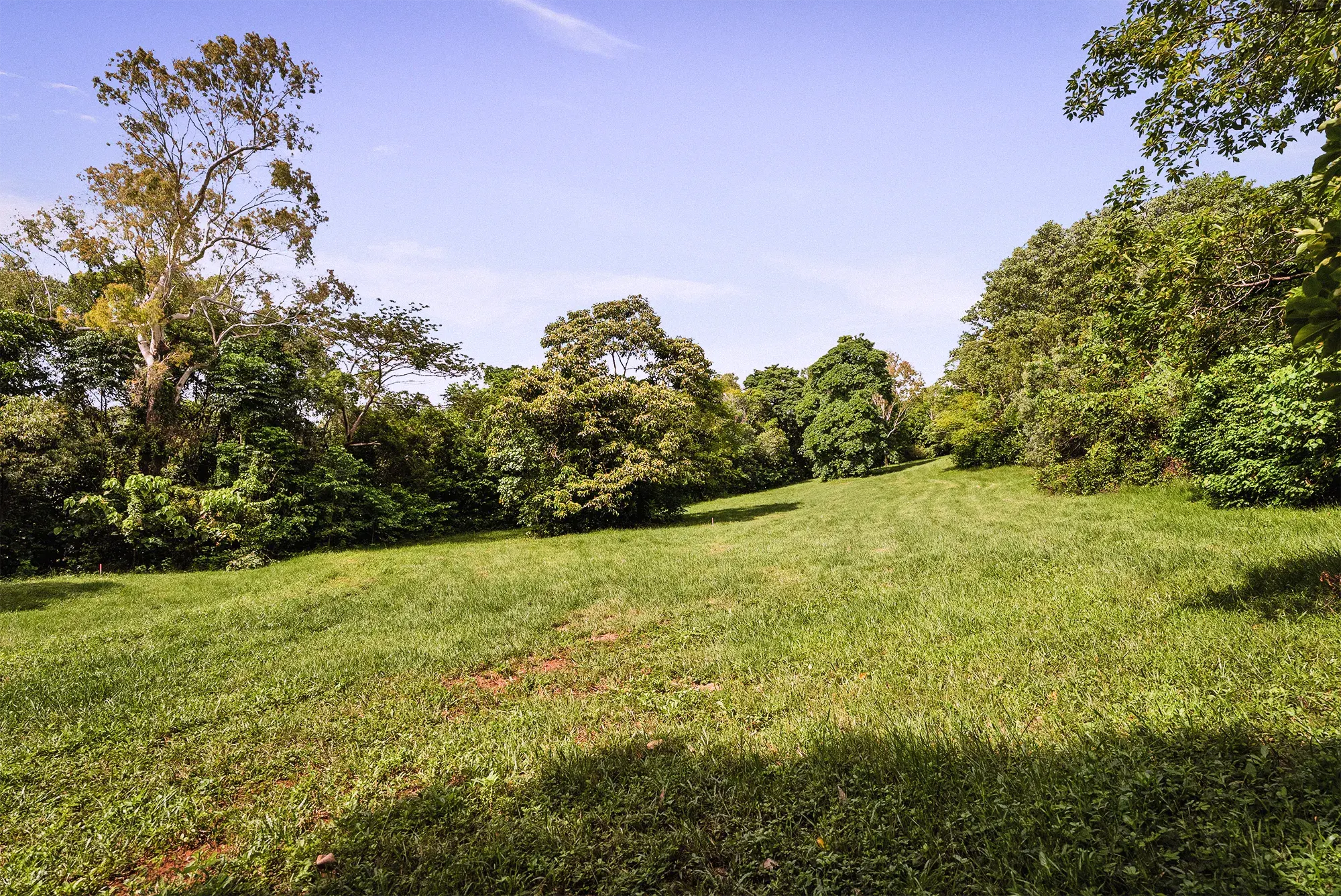 Lot 14 from the ground