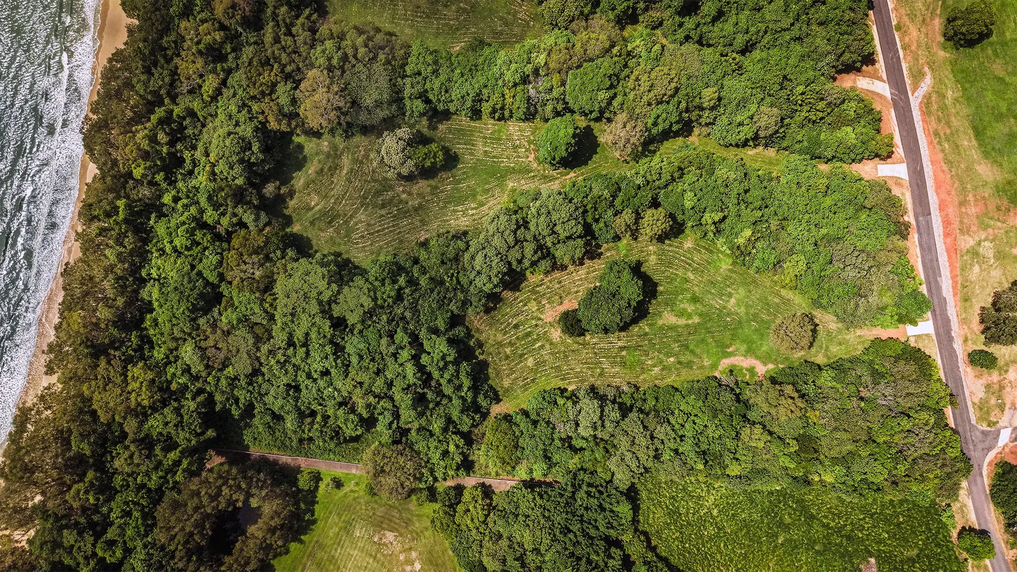 Lot 14 from directly above, the surveyed boundary drawn over the clean plan aerial