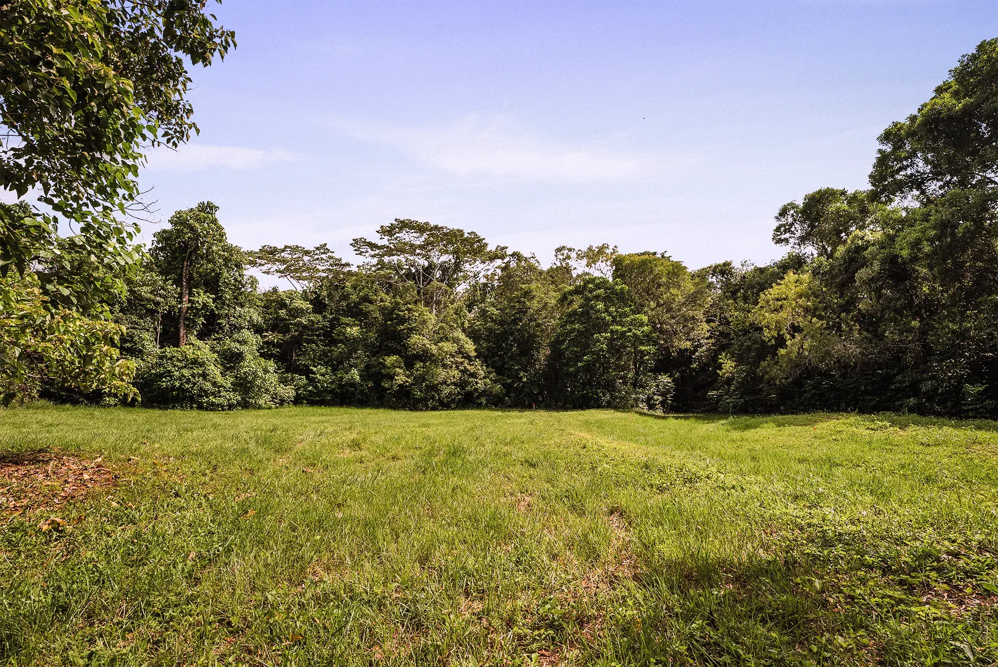 Lot 15 from the ground