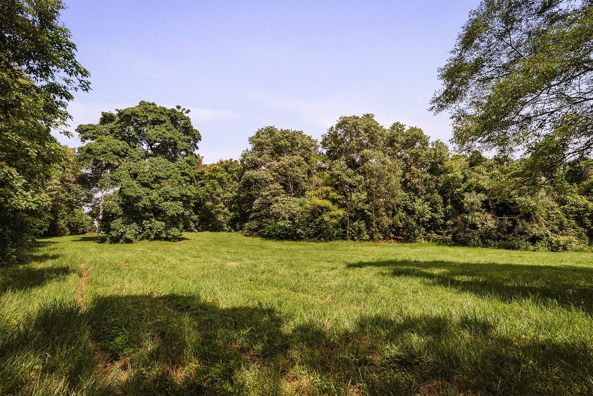 Lot 15 from the ground