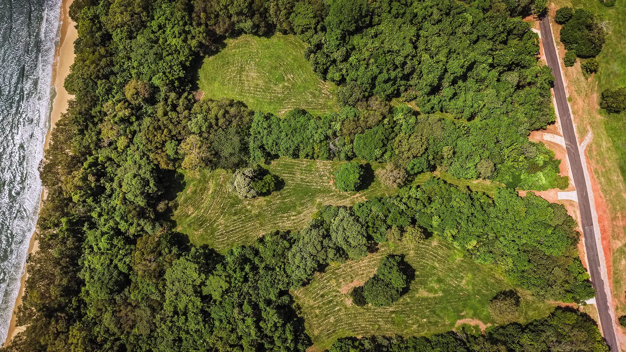 Lot 15 from directly above, the surveyed boundary drawn over the clean plan aerial