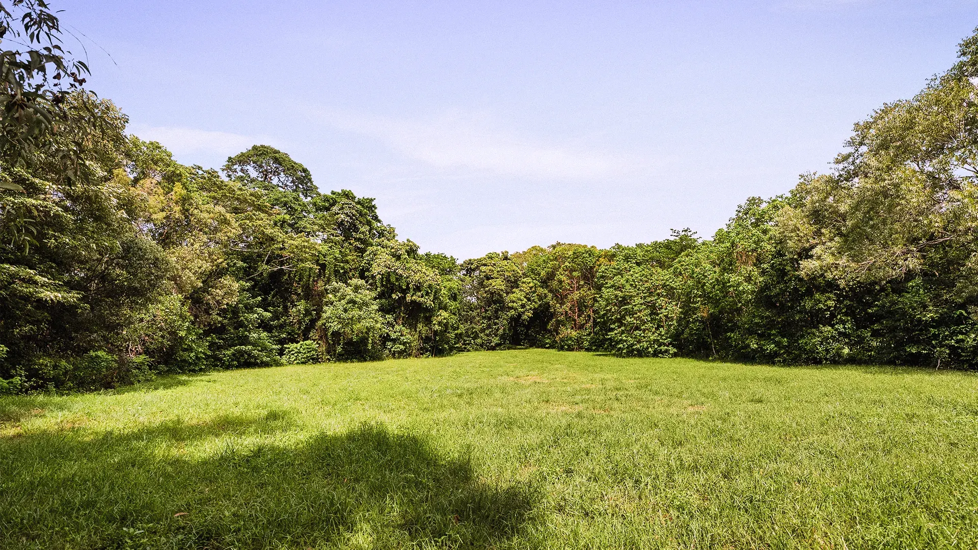 Lot 16, the cleared site as it stands today