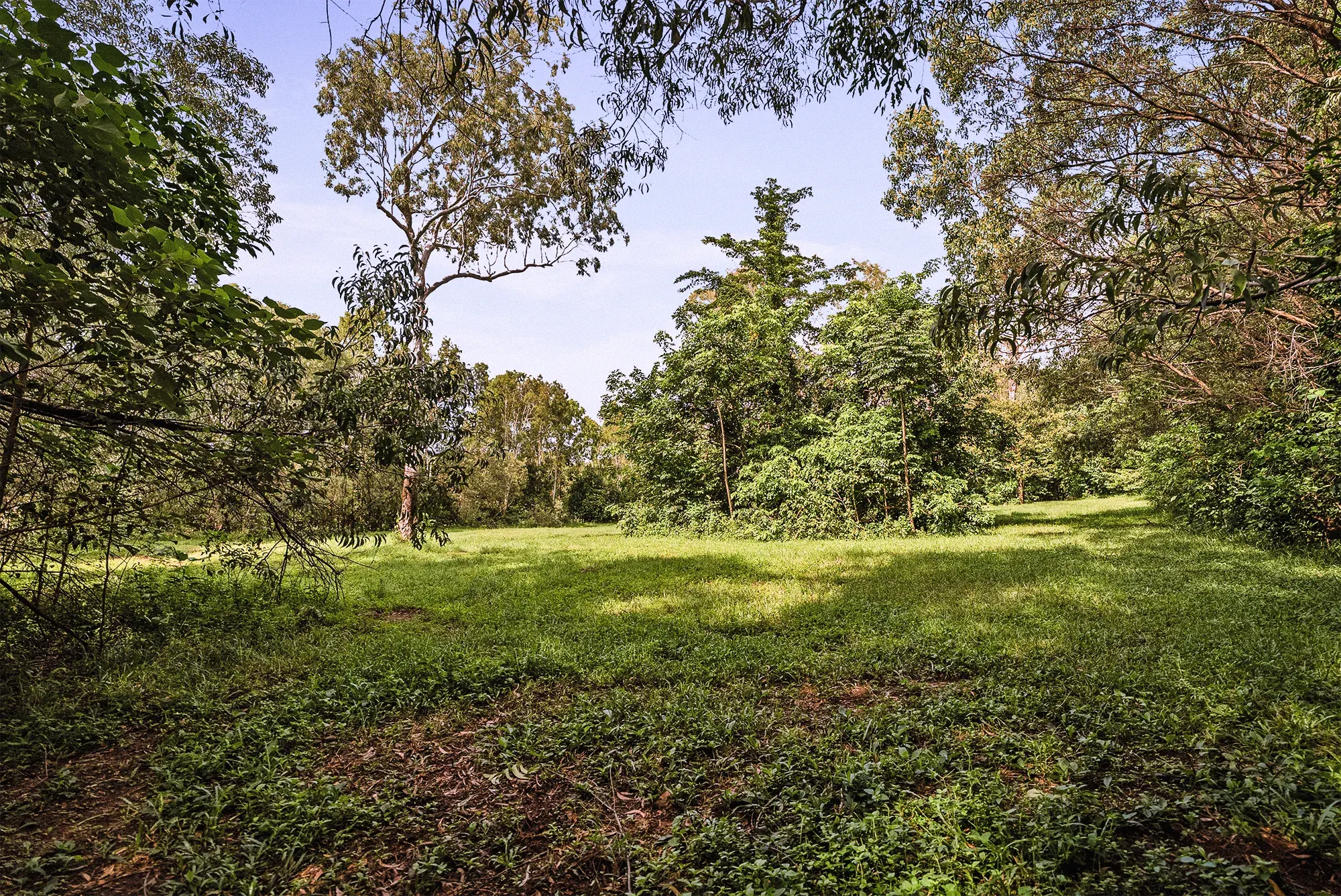 Lot 16 from the ground