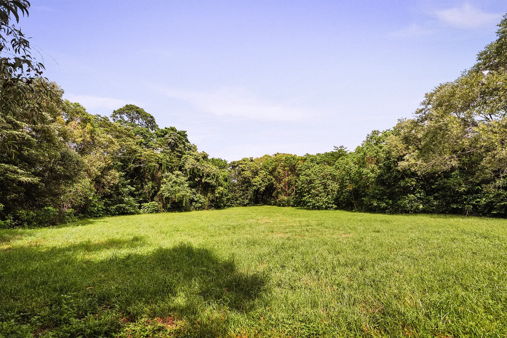 Lot 16 from the ground