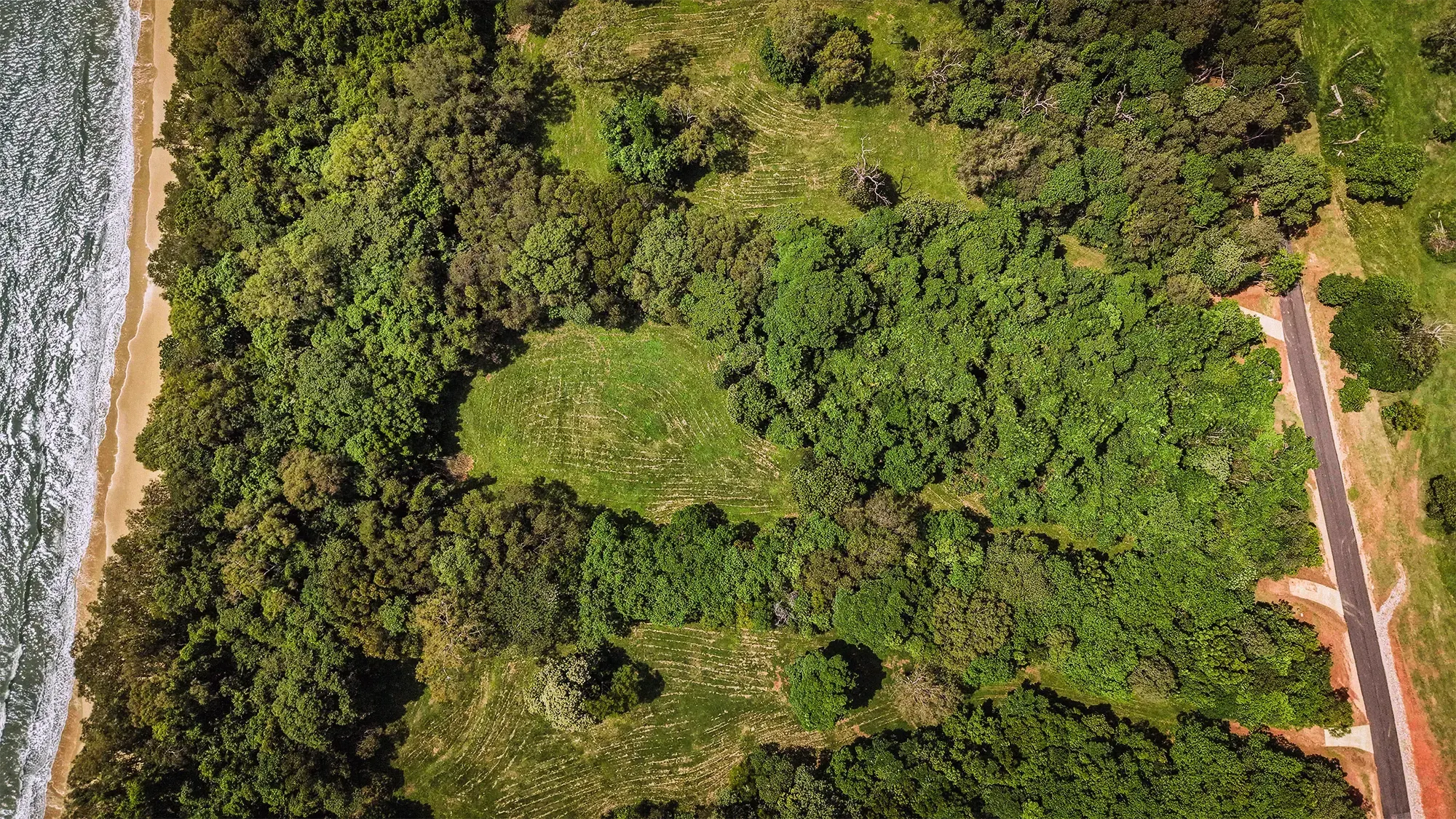 Lot 16 from directly above, the surveyed boundary drawn over the clean plan aerial