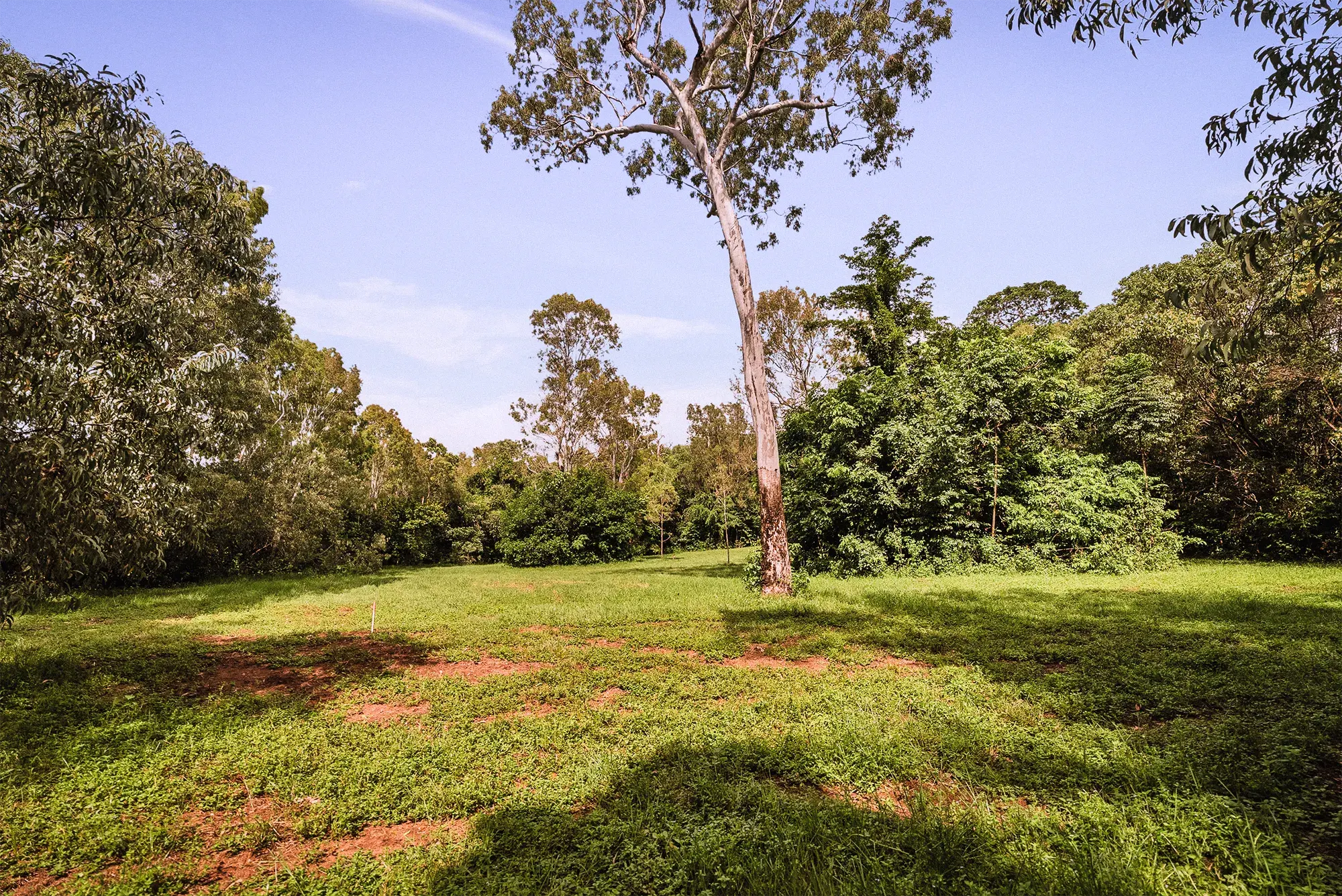 Lot 17 from the ground