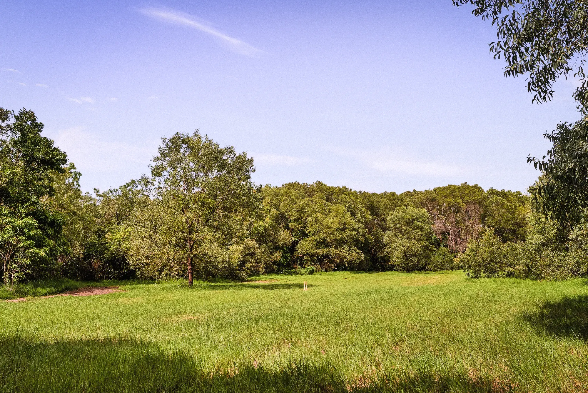 Lot 18, the cleared site as it stands today