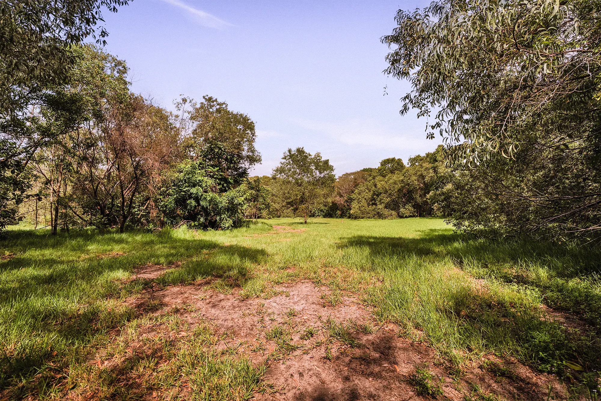 Lot 18 from the ground