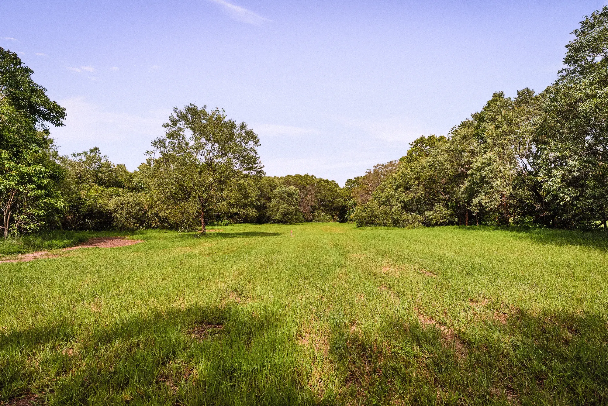 Lot 18 from the ground