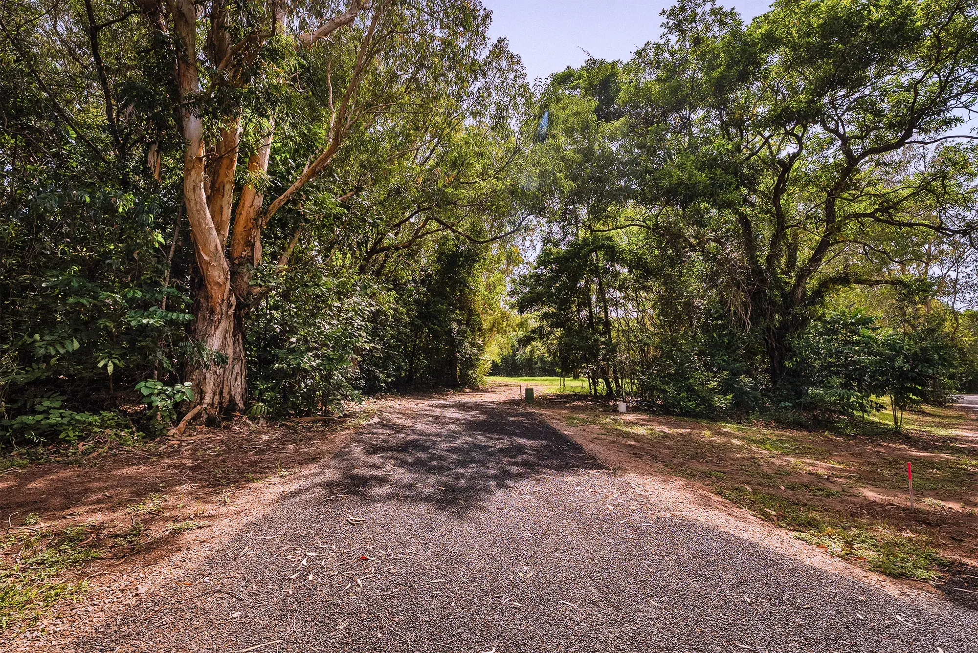 Lot 19 from the ground
