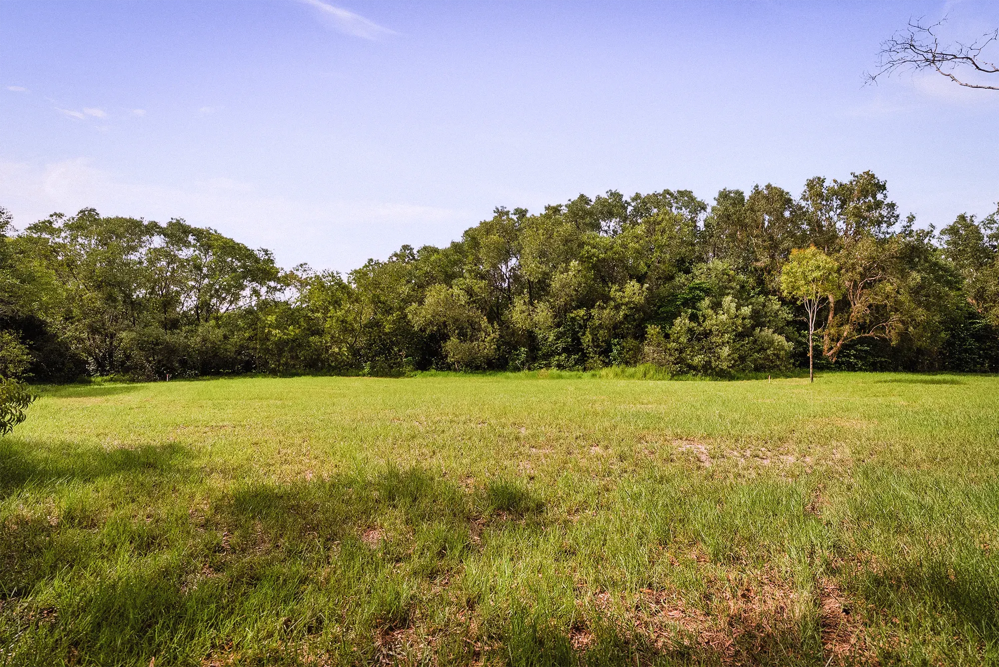 Lot 19 from the ground