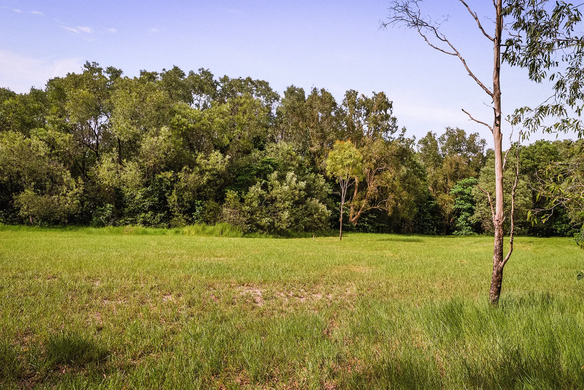Lot 19 from the ground