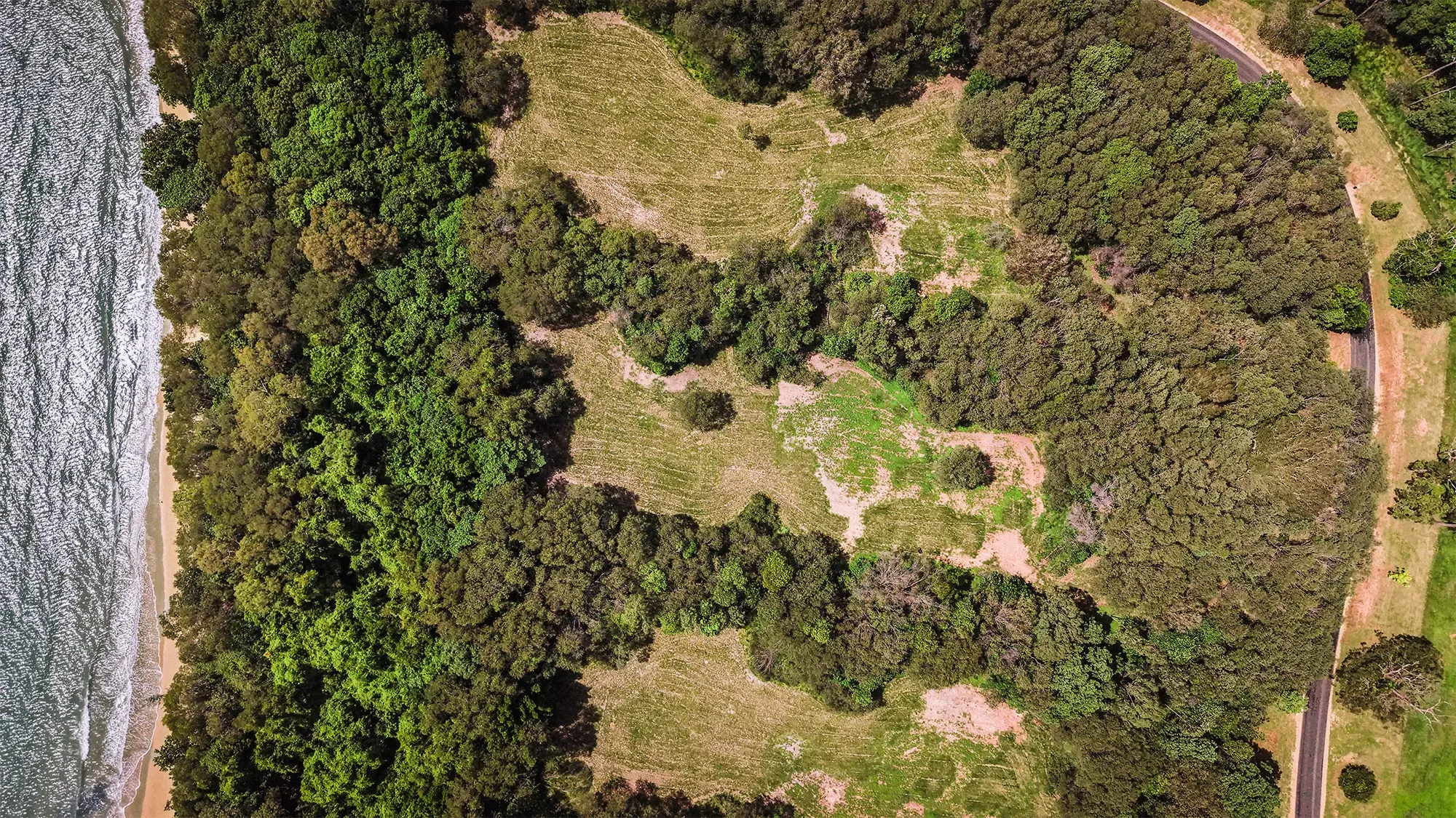 Lot 19 from directly above, the surveyed boundary drawn over the clean plan aerial