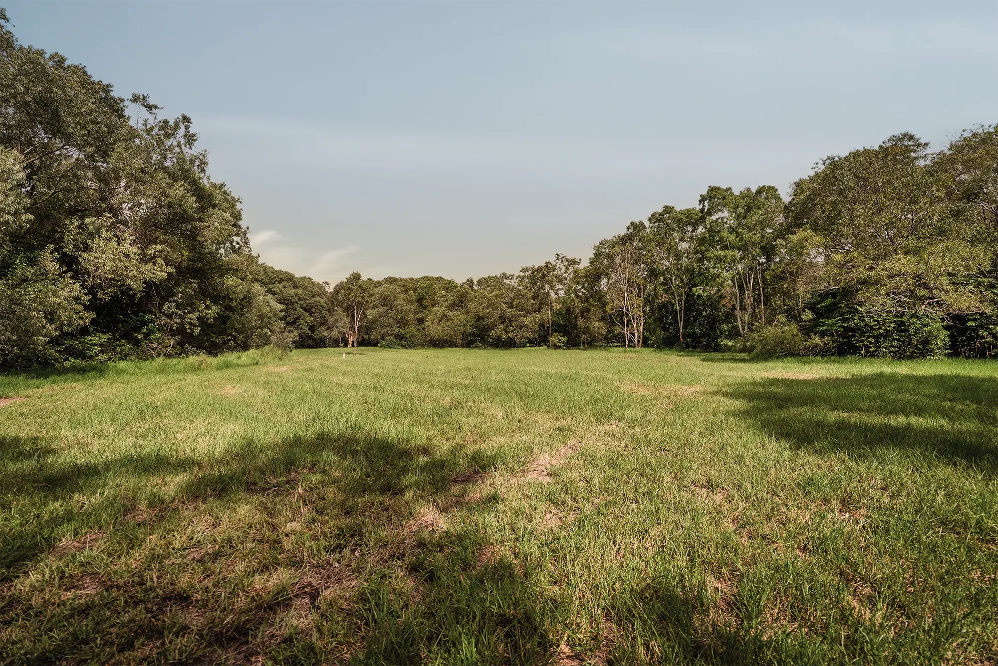 Lot 20, the cleared site as it stands today