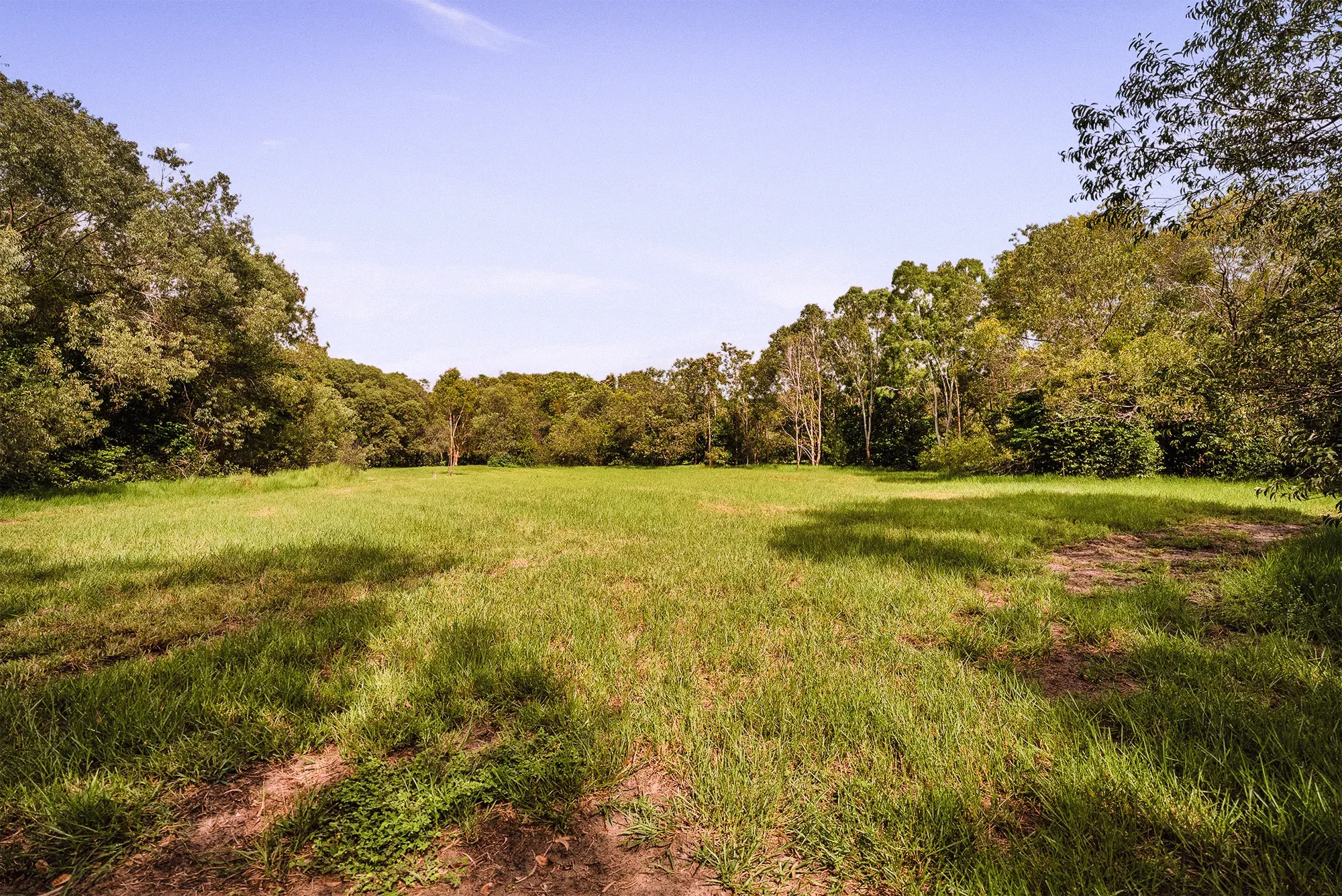 Lot 20 from the ground, looking north-east