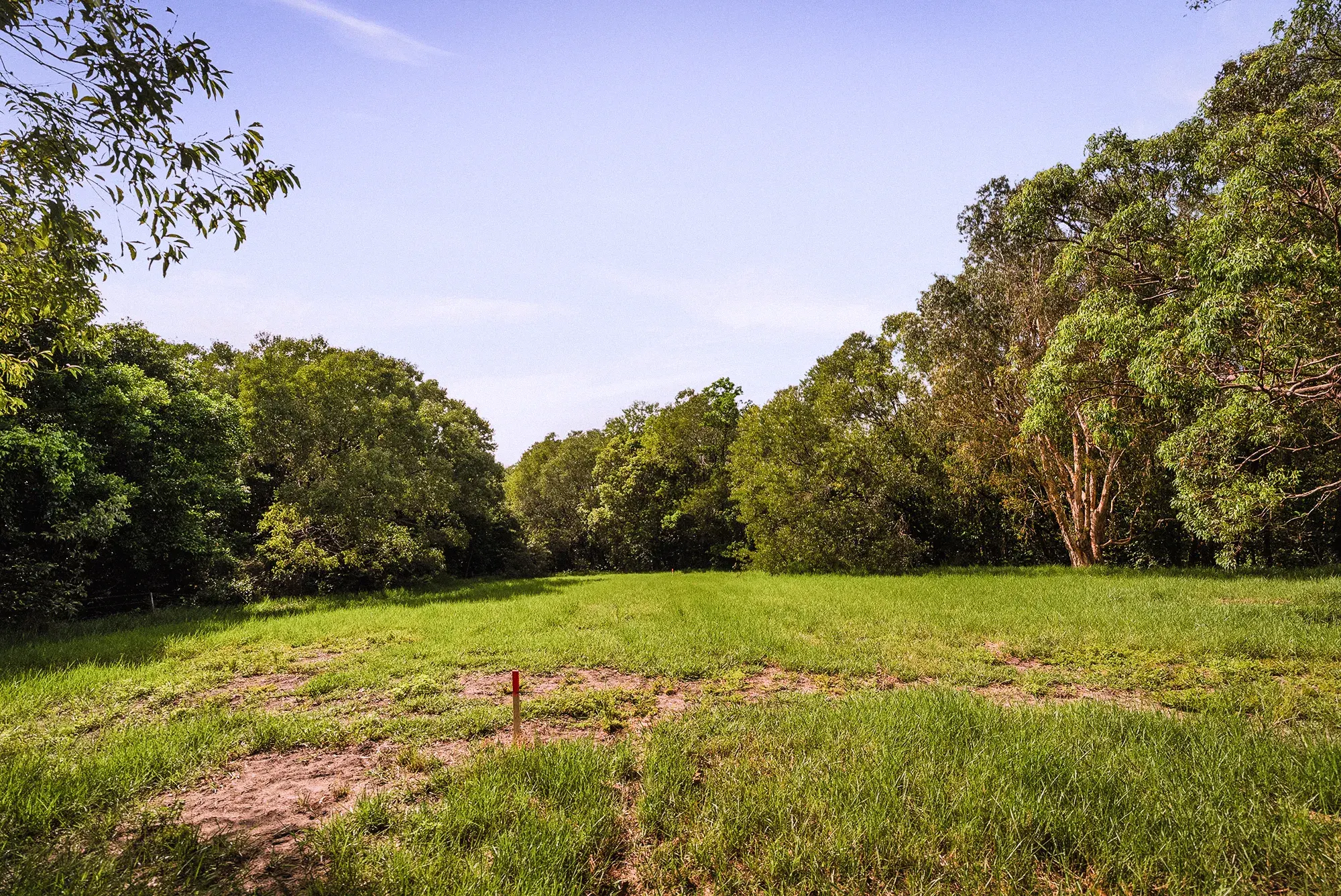 Lot 20 from the ground, looking east