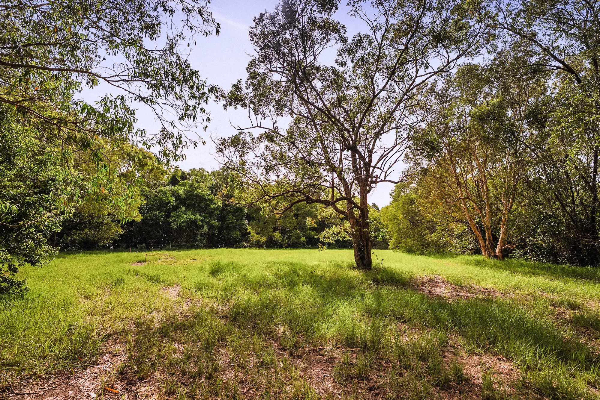 Lot 21, the cleared site as it stands today