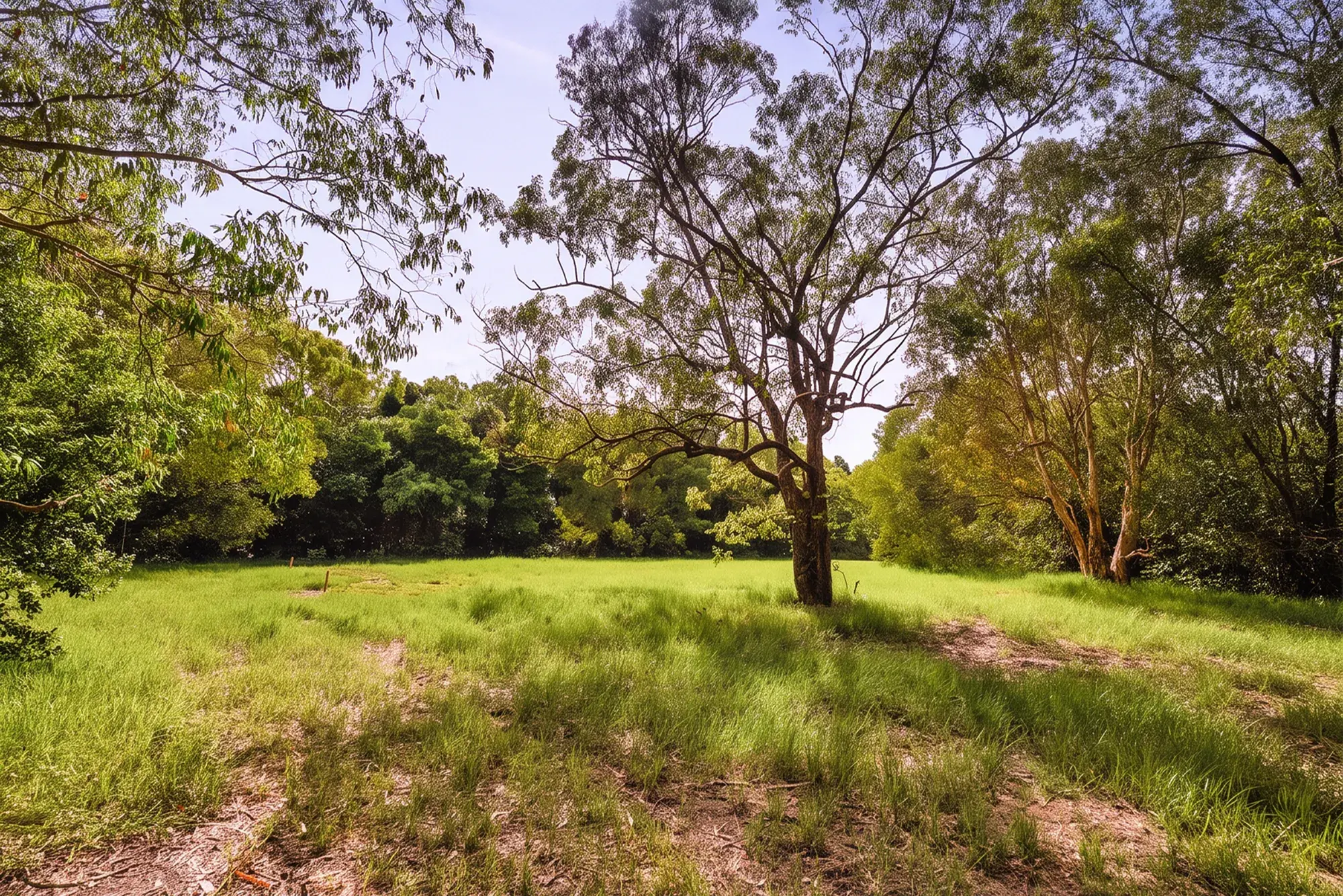 Lot 21, the cleared site as it stands today