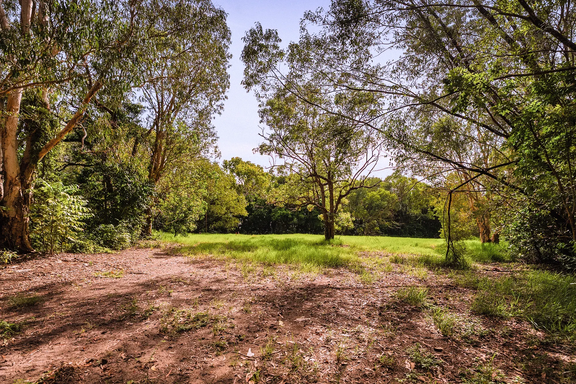 Lot 21 from the ground