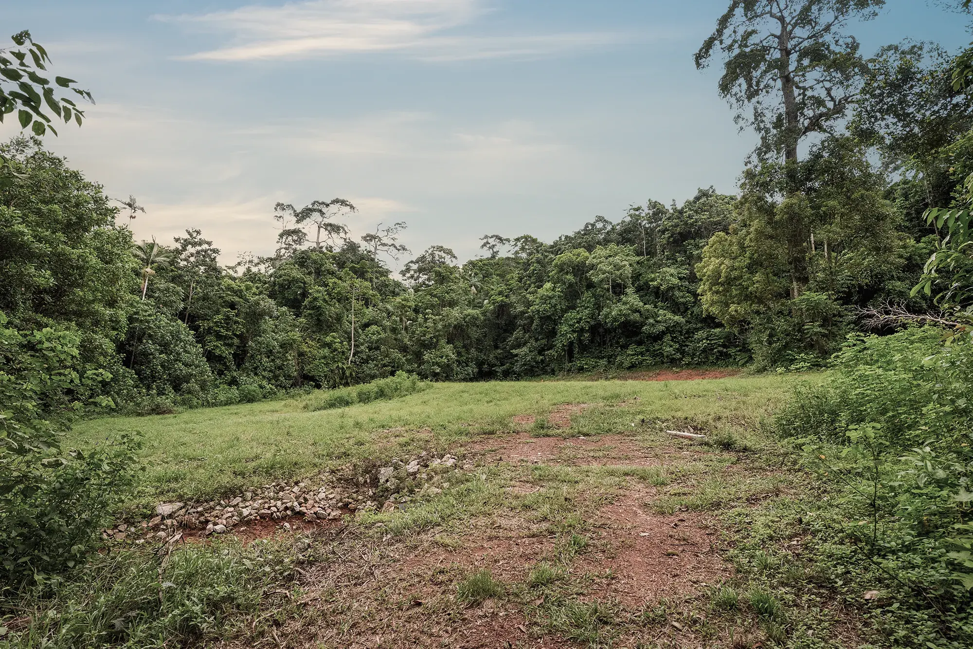 Lot 22, the cleared site as it stands today