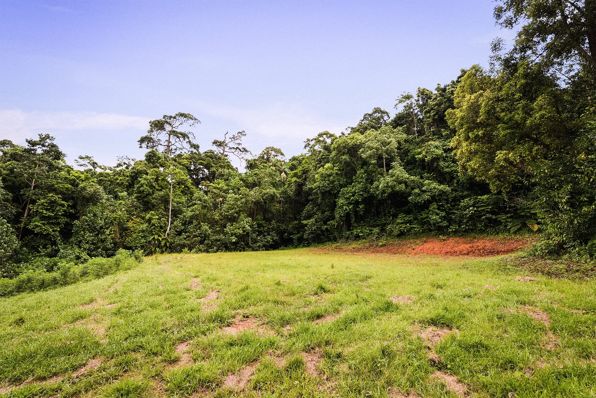 Lot 22 from the ground