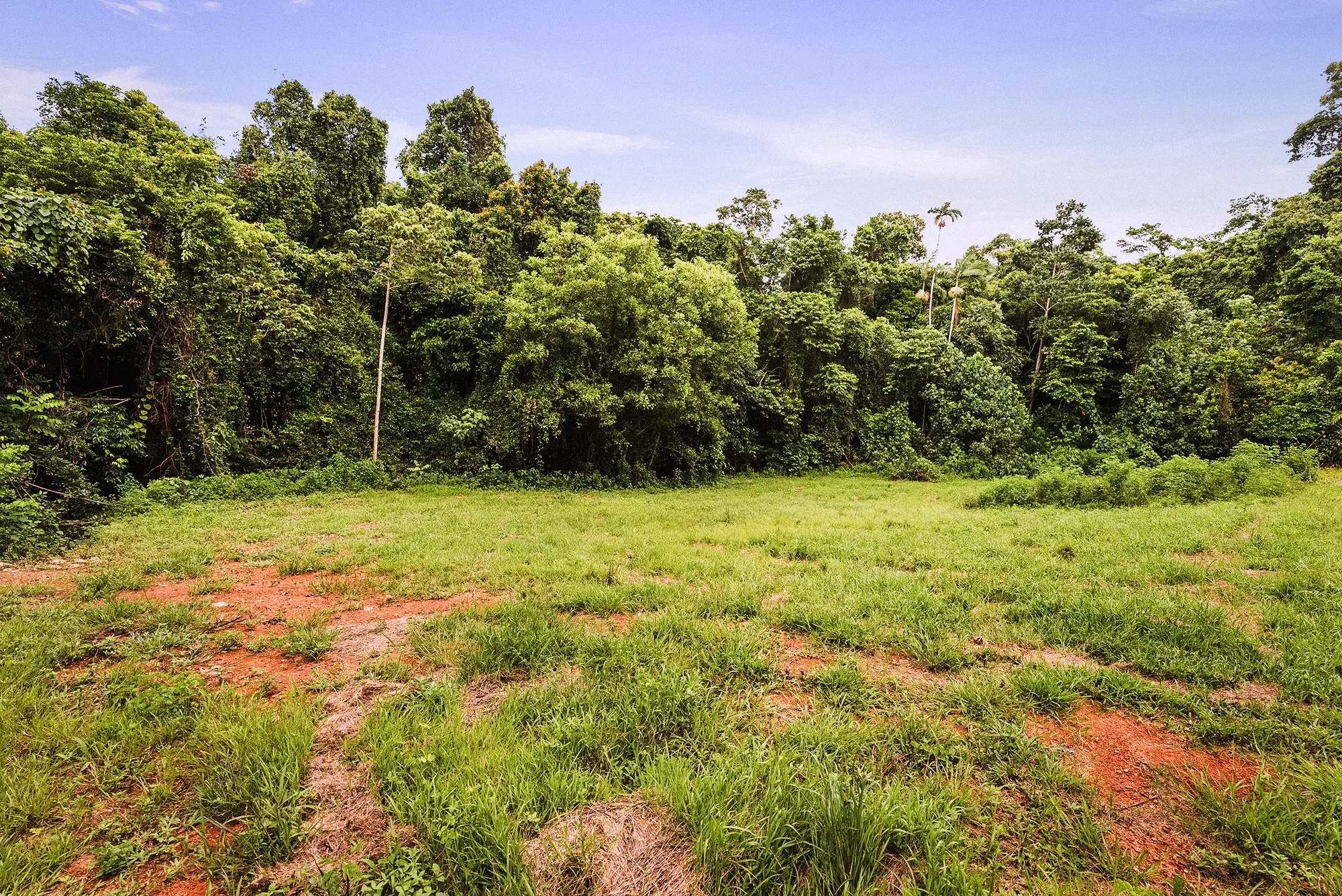 Lot 22 from the ground
