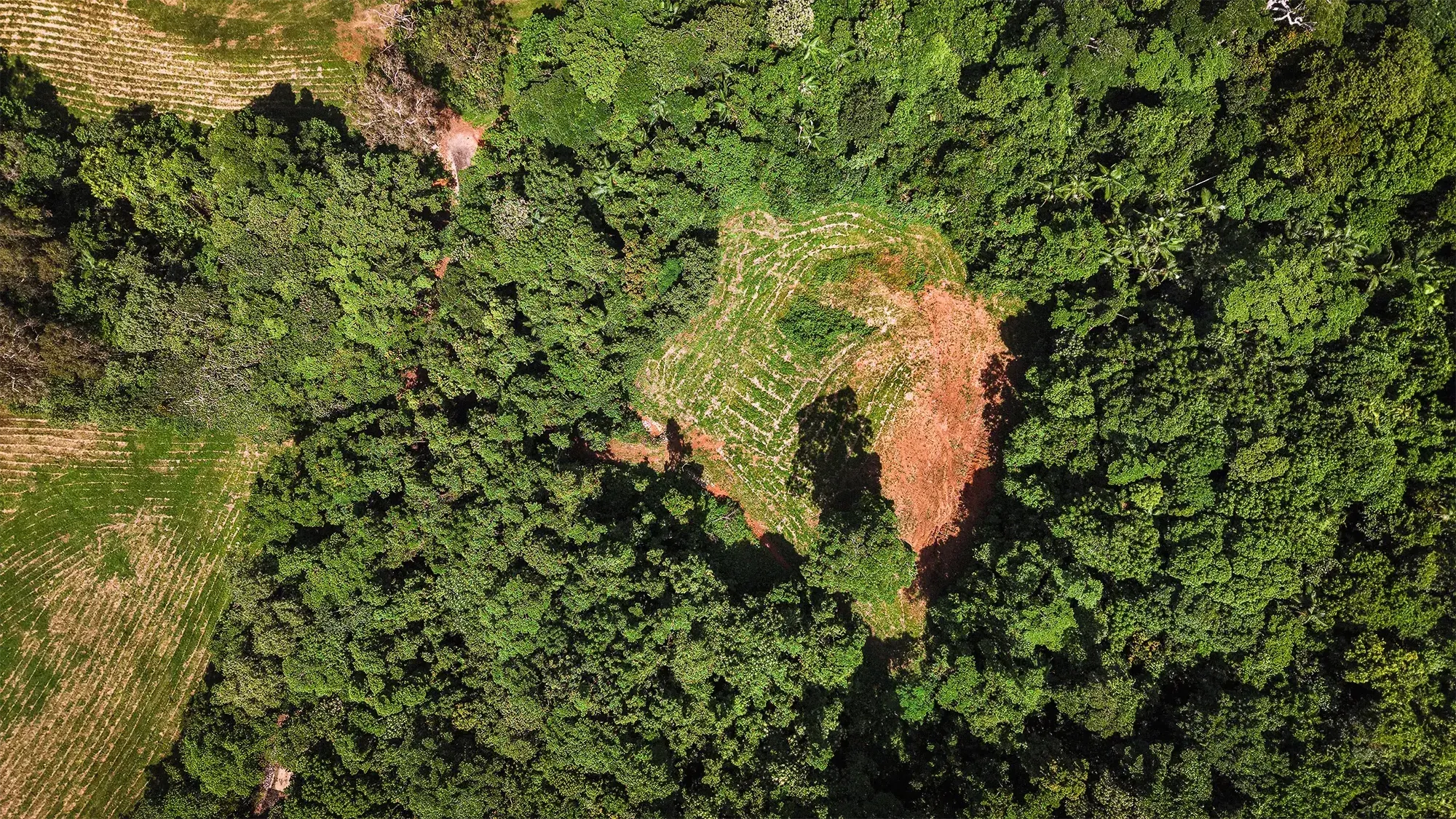 Lot 22 from directly above, the surveyed boundary drawn over the clean plan aerial