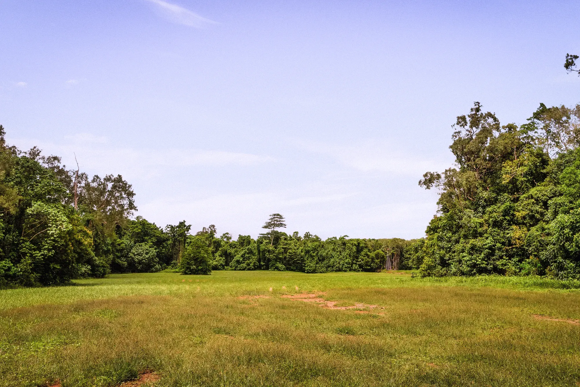 Lot 23 from the ground