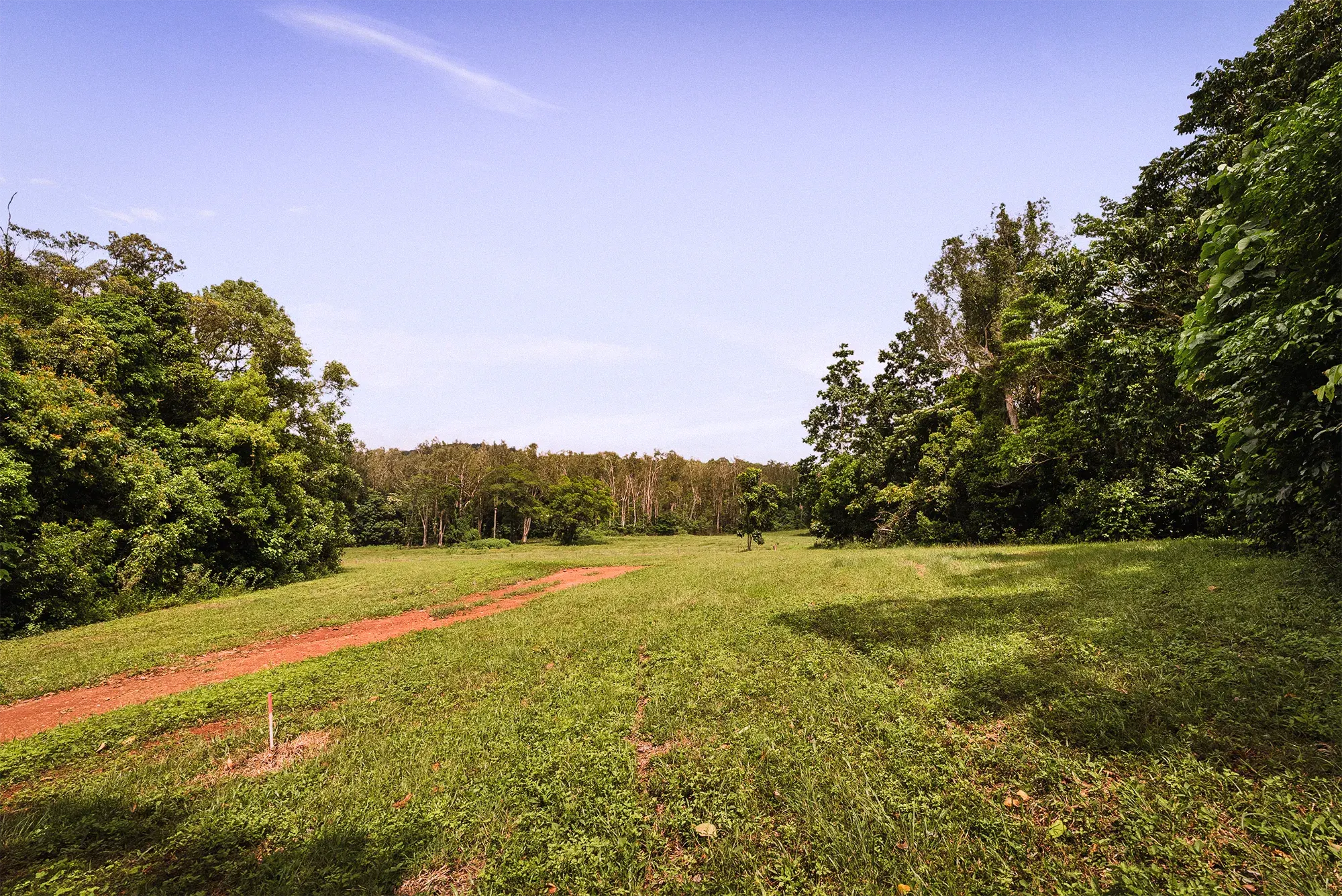 Lot 23 from the ground