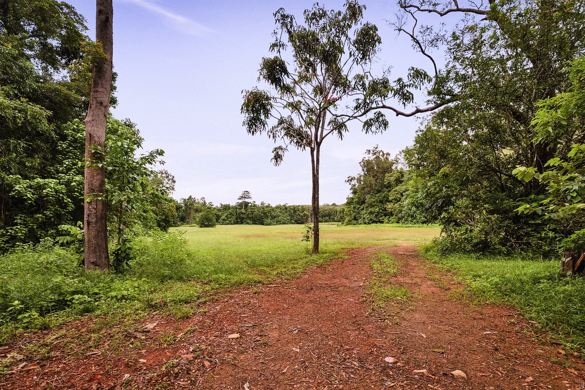Lot 23 from the ground