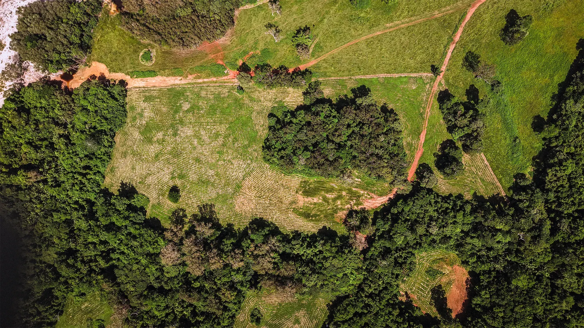 Lot 23 from directly above, the surveyed boundary drawn over the clean plan aerial