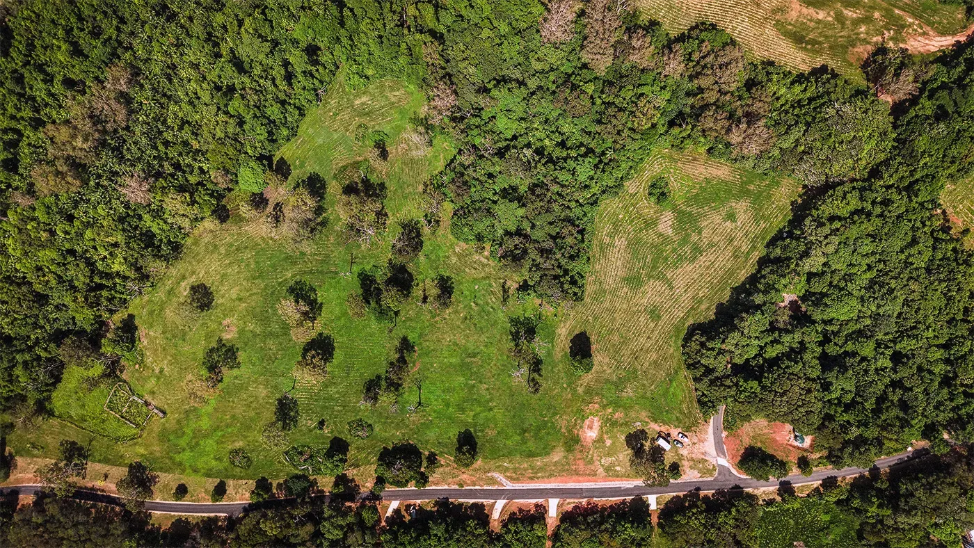 Lot 24 from directly above, the surveyed boundary drawn over the clean plan aerial